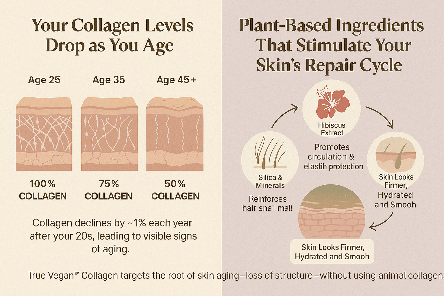 True Vegan Collagen (Pack of 3)