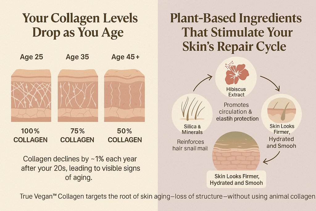 True Vegan Collagen (Pack of 6)