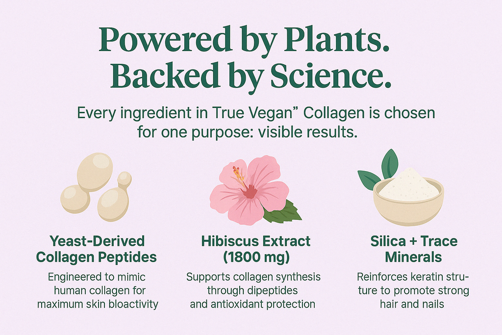 True Vegan Collagen (Pack of 6)